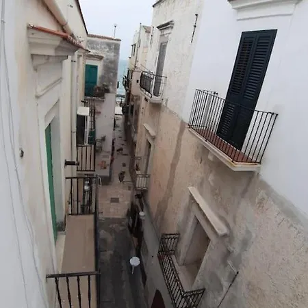 In Terraza Lejlighed